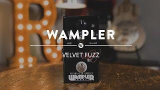 Wampler Velvet Fuzz | Reverb Demo Video