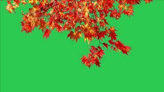 Tree green screen video, Green screen tree, tree green screen effect kinemaster, P-22