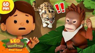 Protect the Baby Orangutan!  | Endangered Animals | Leo the Wildlife Ranger | Kids Cartoons