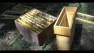 Beekeeping Simple Queen Rearing - Part 1 preparing the Cell Starter