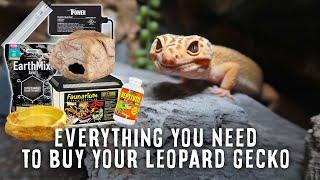 Beginner's Guide To Leopard Gecko Supplies | Tank, Heater, Light, Substrate & More