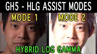 Which HLG Assist Mode should you use on the GH5 or External Monitor?