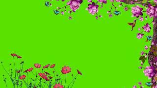 Flower Tree Green Screen Video || Flower Green Screen Background Video