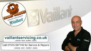 (No Adverts) Vaillant Ecotec Boiler, which one do you have? Tips on identifying your boiler...