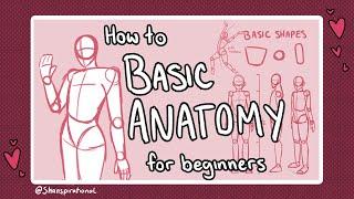 How to Draw Basic Anatomy