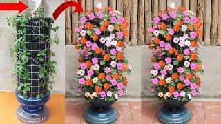 Creative Jade Flower Garden Ideas - How To Grow Beautiful Jade Flowers For The Garden