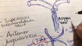 Brachiocephalic vein. Vs azygous vein. Internal jugular vein