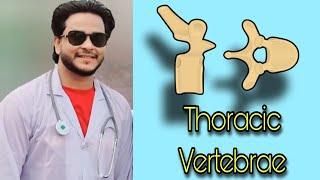 Typical vertebra bangla demo | MBBS 1st year | Dr. Fahad | DMC