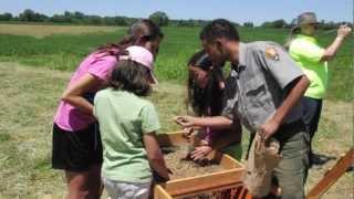 Archeologists - Career Spotlight