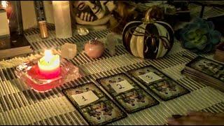 What Are They Thinking/Feeling For You Today?Their Intention/Action Pick a Card Tarot Reading