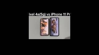 PIXEL 4A 5G VS IPHONE 11 PRO 2024 PUBG TEST!!