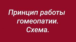 Принцип работы гомеопатии ️ На чём основан принцип действия гомеопатии? ️ Подробная информация.