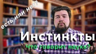 Почему у человека нет инстинктов? Что говорит наука?