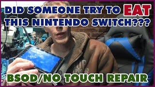 The Nintendo Switch Is NOT For Eating! Blue Screen Of Death, No Touch And Port Repair. Let's Fix It!