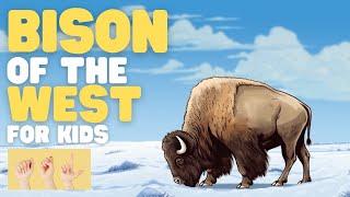 ASL Bison of the West