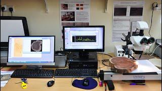 Techniques for Sampling and Analysis in Dendrochronology