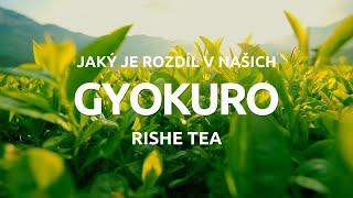 GYOKURO v nabídce Rishe Tea. Přehled a rozdíly mezi různými sortami.