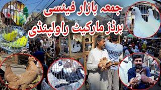 Juma Bazar Fancy Birds Market Rawalpindi | Latest Update Fancy Pigeon Market Price | 25/10/2024