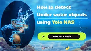 How to Detect Under the Sea classes using Deep learning | Yolo-Nas