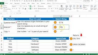 Search with Excel Wildcard Characters