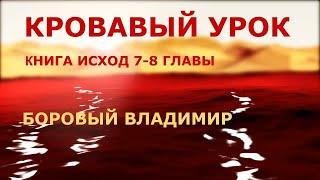 КРОВАВЫЙ УРОК | вдохновение  кн. Исход 7-8 главы | Боровый Владимир