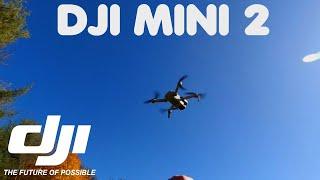 DJI Mini 2 Testing the Flight Modes