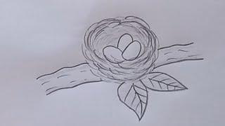 how to draw bird's nest|bird nest drawing step by step