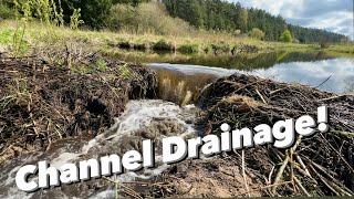 Draining Beaver Dam.