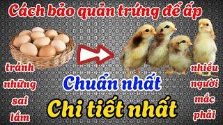 Cách bảo quản trứng để ấp chuẩn nhất | Tránh xa những sai lầm mà nhiều người hay mắc phải