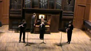 А.Вивальди Трио для гобоя, скрипки и бассо континуо