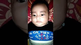 Bayi 3 bulan pinter ngomong