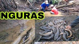 NGURAS IKAN LIAR