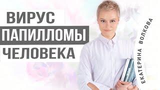 Вирус папилломы человека. Причины, симптомы, диагностика. Здоровье женщины. Гинекология.