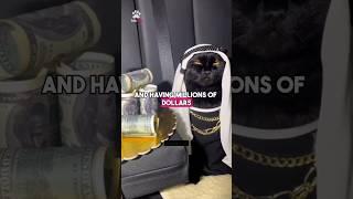 This black cat owns $13 Million! 