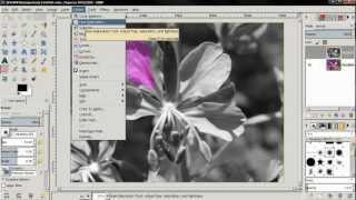 Selective coloring / Desaturation - GIMP 2.8 tutorial