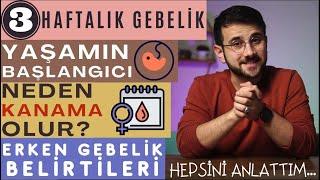 3 Haftalık Gebelik (İLK CANLI)