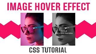 Black And White Filter With Captions On Hover Image CSS | CSS Image Hover Effects | CSS Tutorials