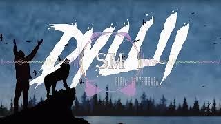 Vyshebaba & BURLA – Душі [Official Lyric Video]