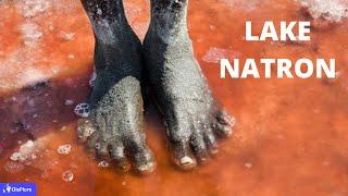 Discover Lake Natron, The Lake that Turns Animals to Stones