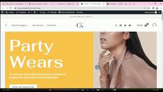 Lesson 10  |  wordpress tutorial for beginners