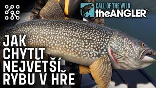 Chytil jem největšího DIAMANTA | Call of the wild: The Angler CZ  |  Česky