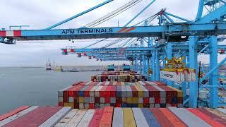New record in container handling at APM Terminals MVII