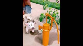 cow bathed with hand pump water / mini project