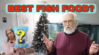 The Very BEST Fish Food | Tips'nTricks in the Fish Room #fishfood