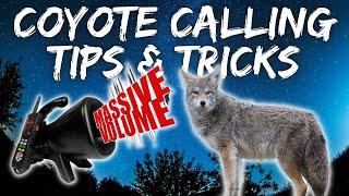 How to call Coyotes | Coyote Calling Tips