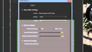 Adobe After Effects CS5/CS6 - Save(Export) Video [Tutorial]