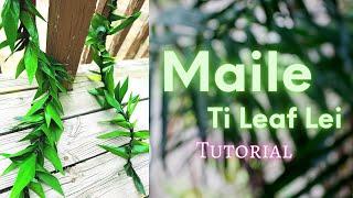 How to Make a Maile Ti Leaf Lei!