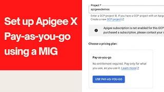 Walkthrough: Set up Apigee X with Pay-as-You-Go using Managed Instance Group