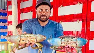 King Crab Farming And Trading | खेकडा शेती आणि व्यवसाय करणारा कोकणातील तरुण व्यवसाईक