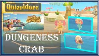 Swimming/Catching a Dungeness Crab & other Deep-Sea Creatures |Animal Crossing New Horizons Gameplay